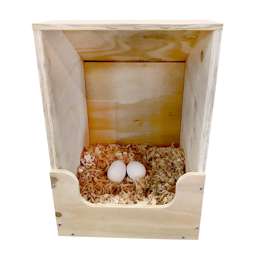 Chicken Layer Box product image 5