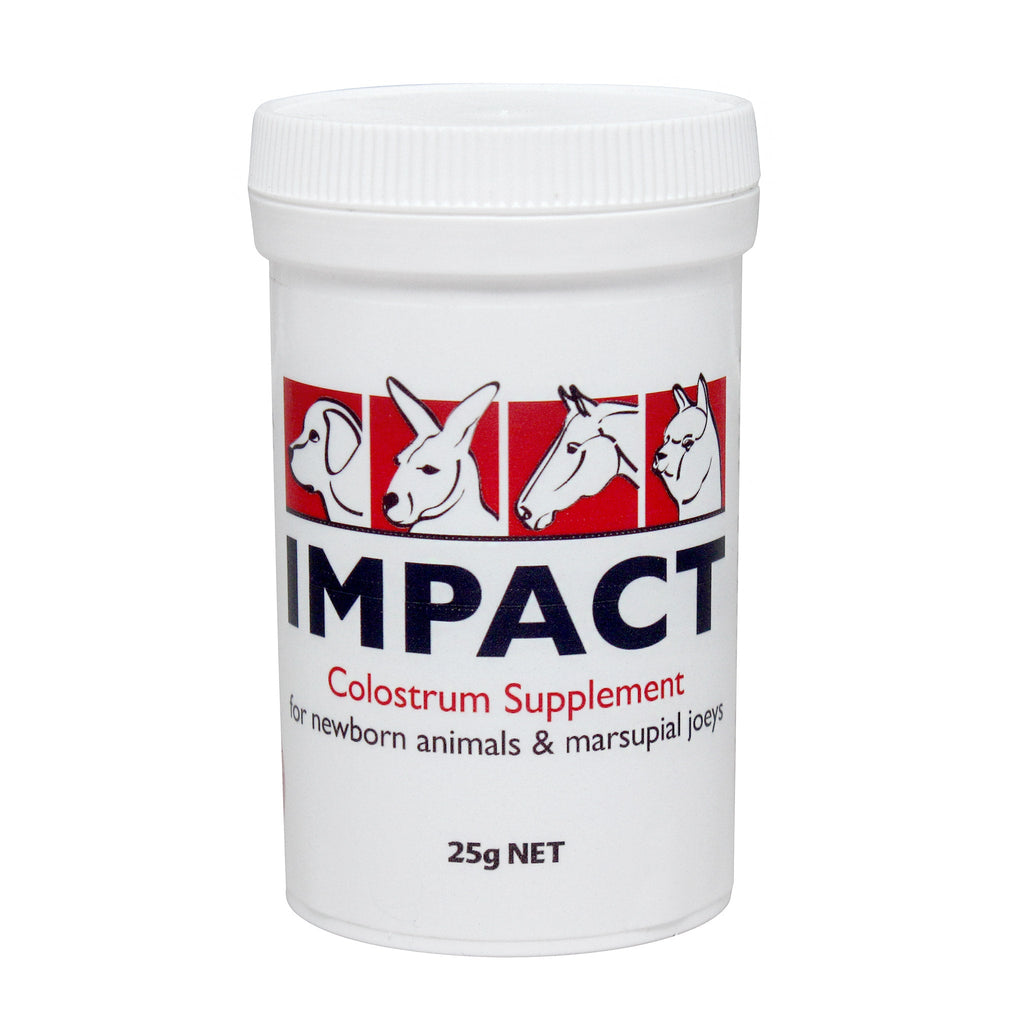 Colostrum Supplement product image 3