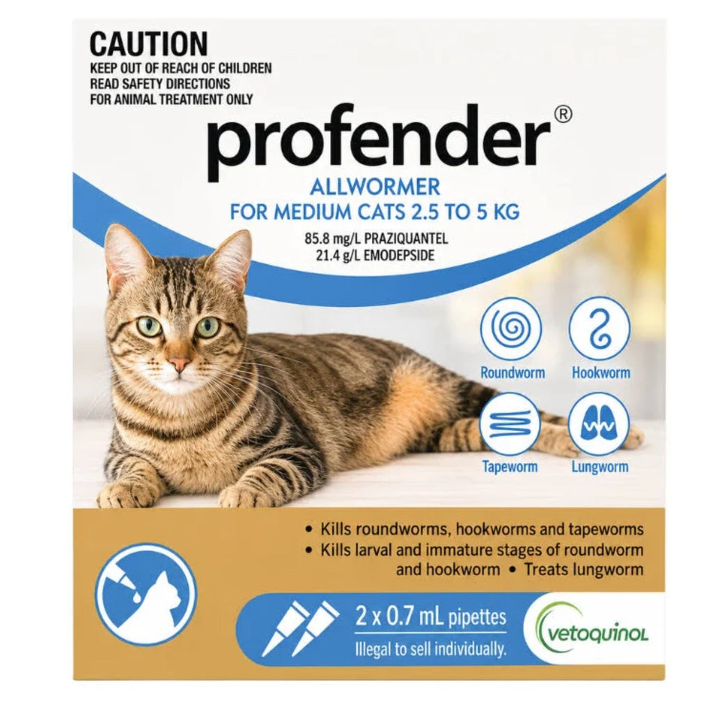 Cat Spot-On Allwormer product image 1