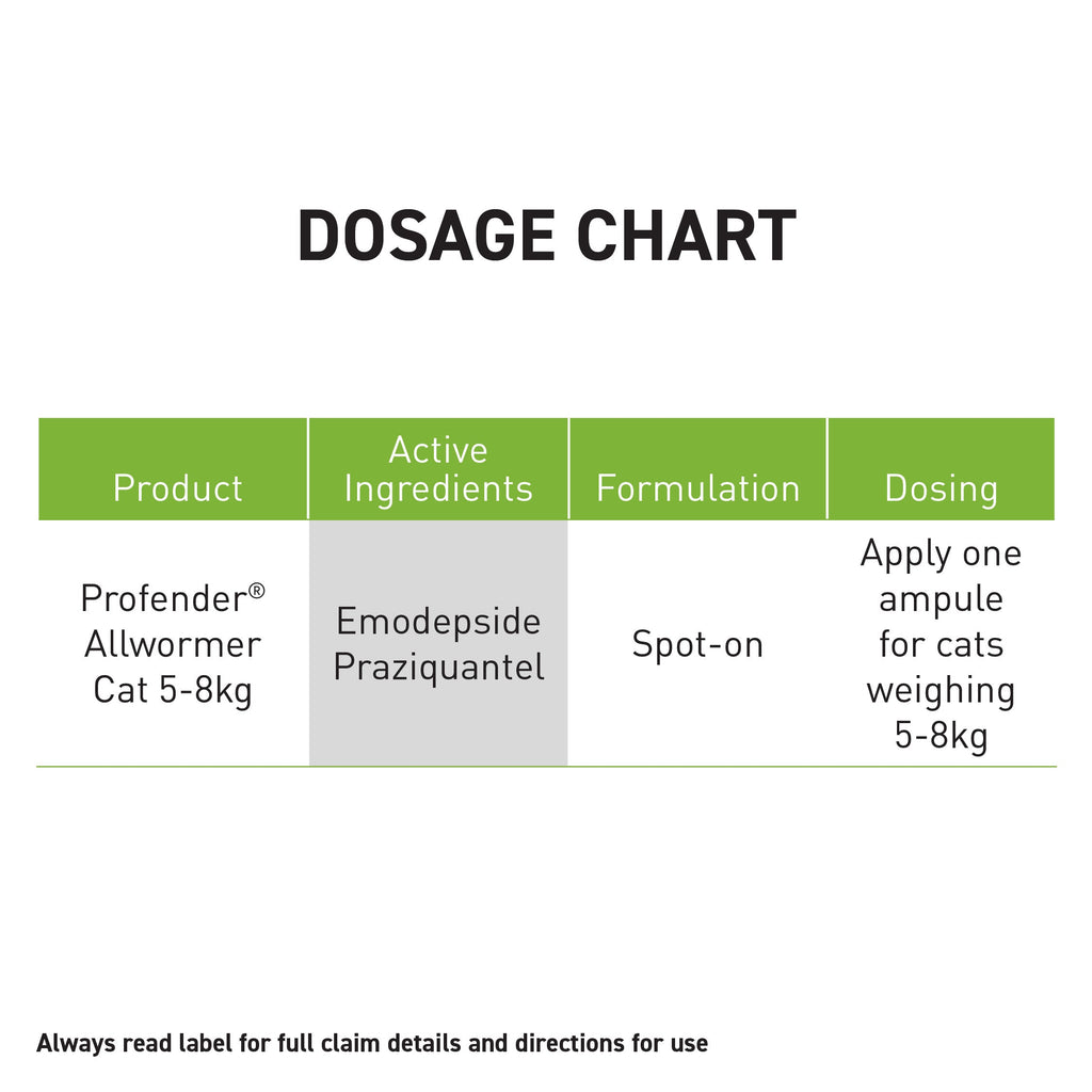 Cat Spot-On Allwormer product image 4