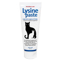 L-Lysine Paste product image 1
