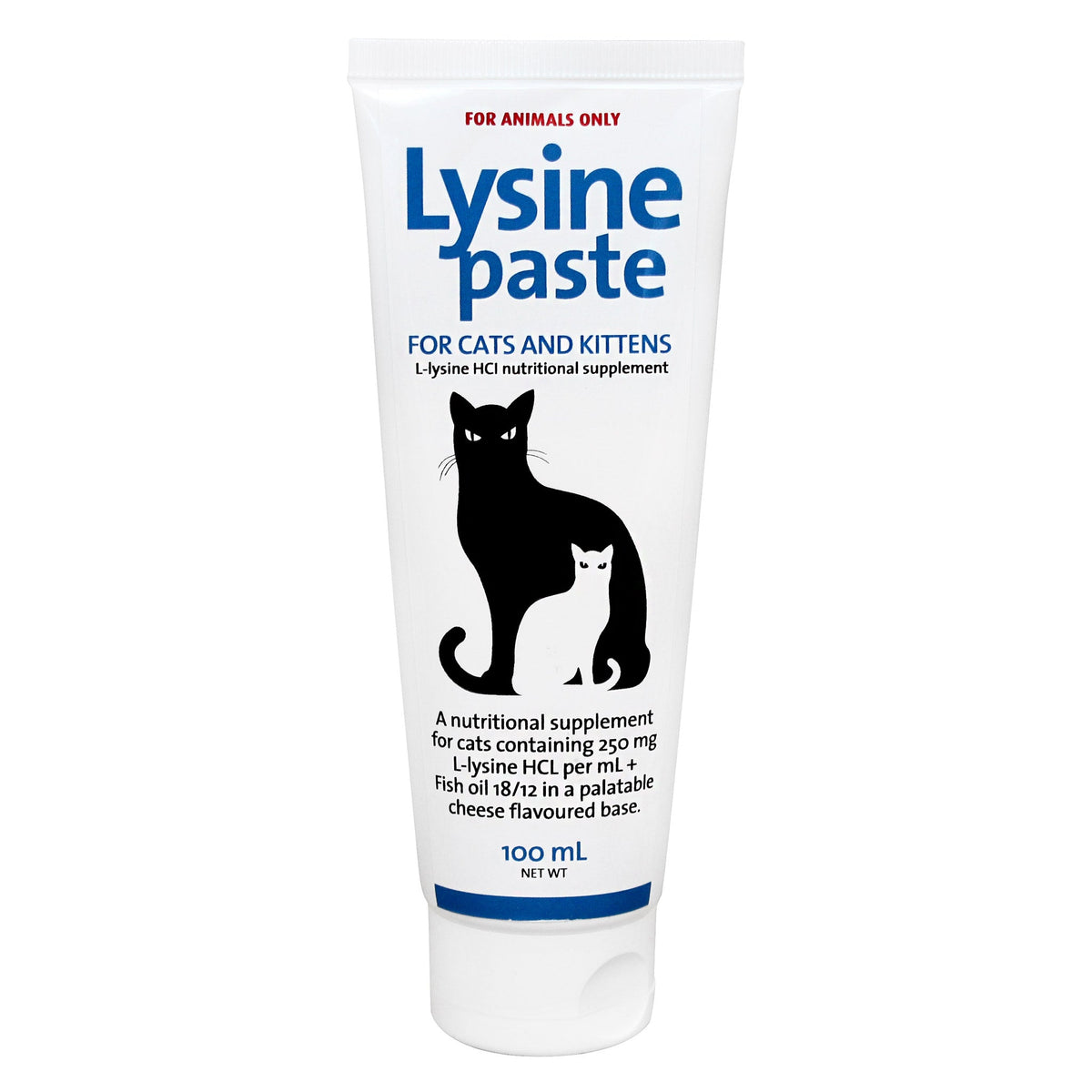 L-Lysine Paste product image 1