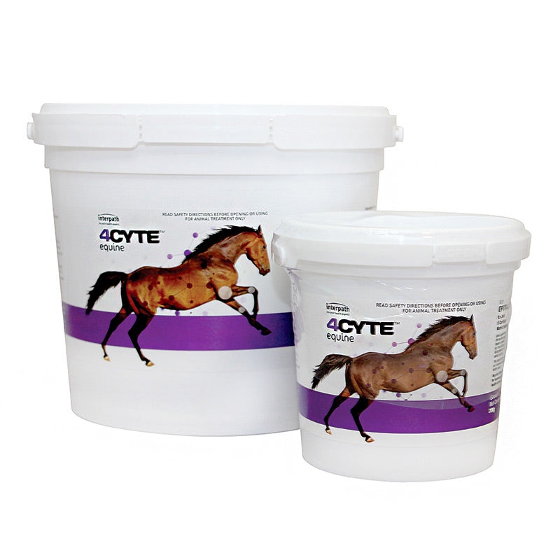 Horse Joint Supplement product image 1