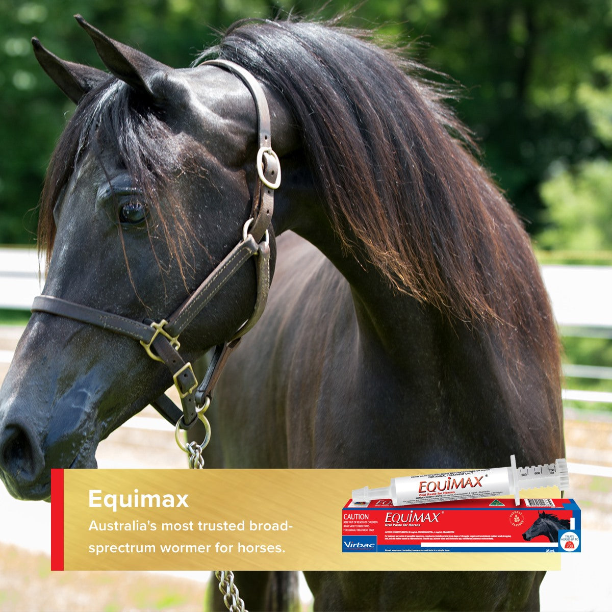 Horse Worming Paste product image 5