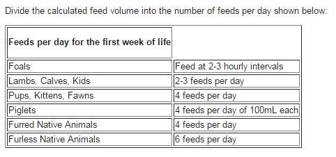 Animal Milk Replacer product image 5
