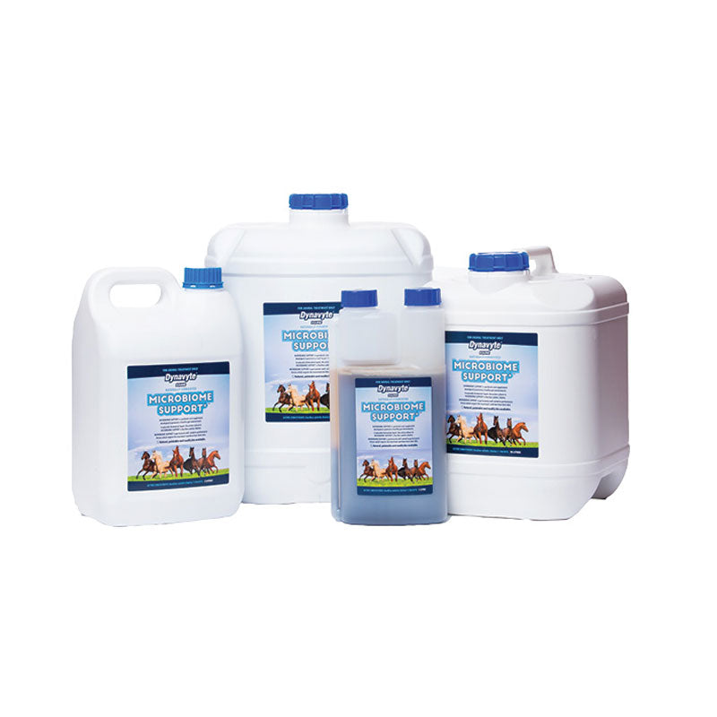 Horse Probiotic product image 1