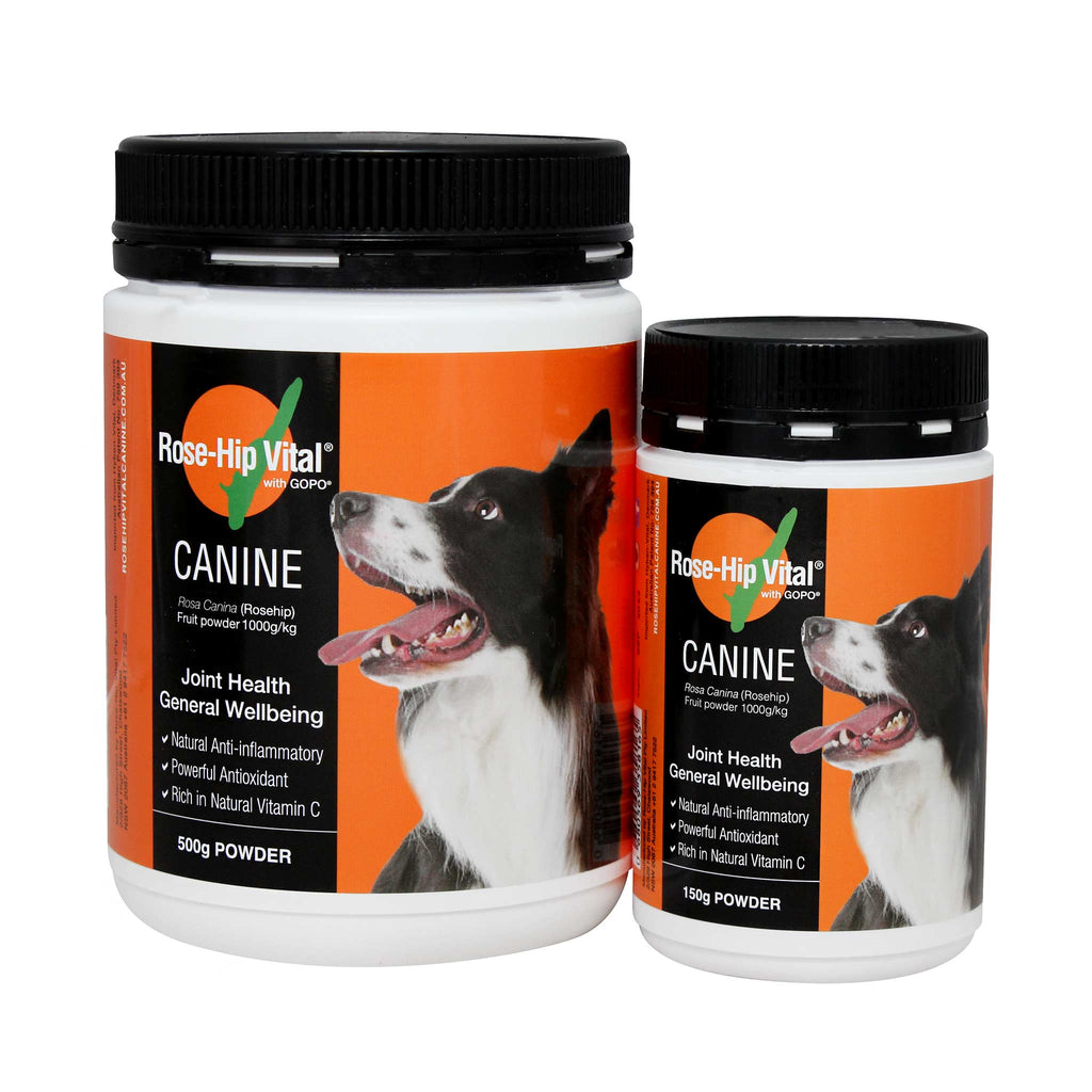 Dog Joint Supplement product image 1