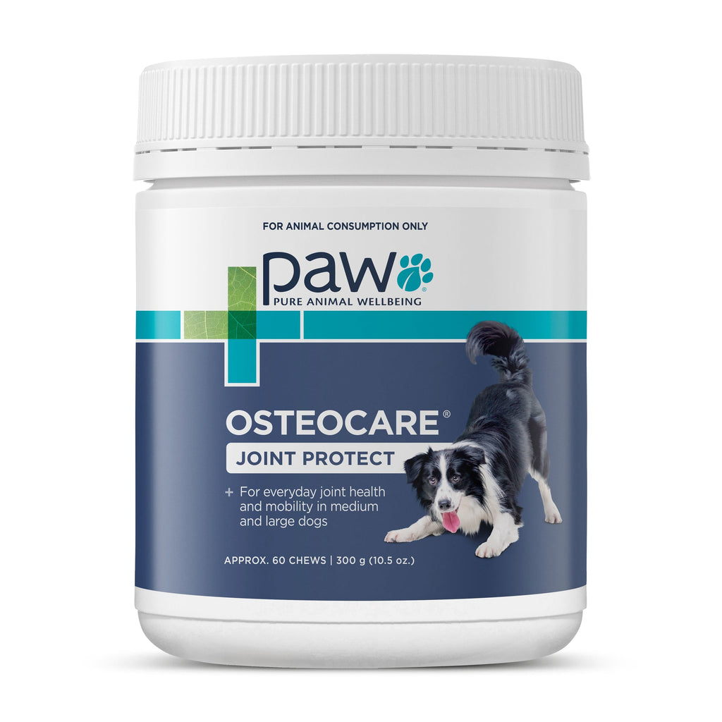 Dog Joint Chews product image 1