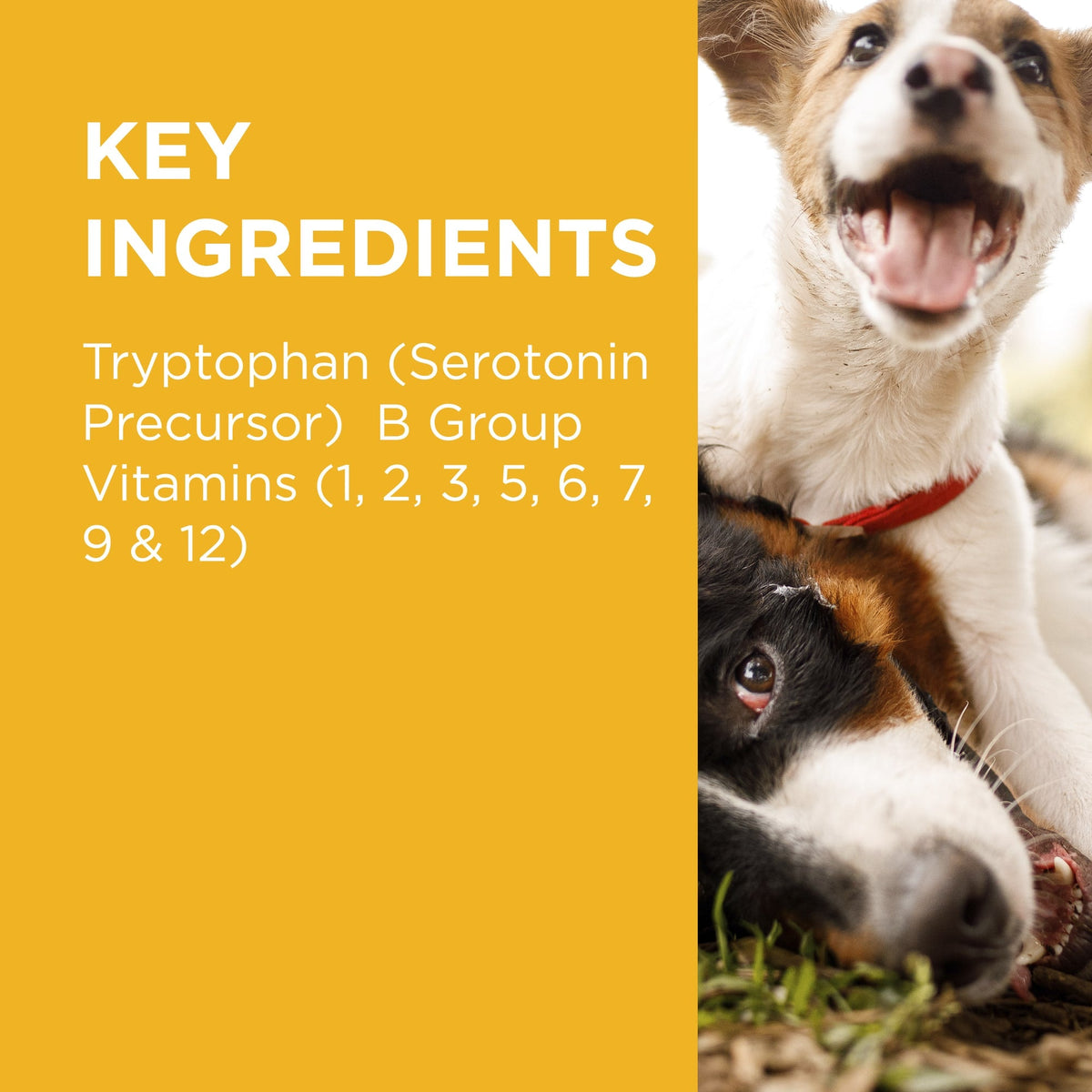 Dog Calming Chews product image 6