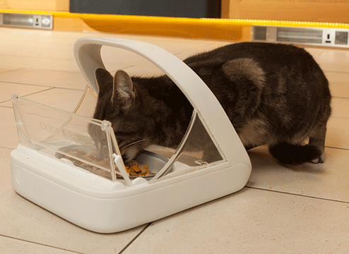 Microchip Pet Feeder product image 5