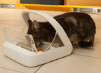Microchip Pet Feeder product image 5