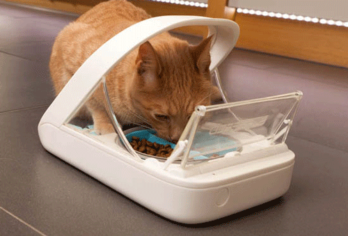 Microchip Pet Feeder product image 7