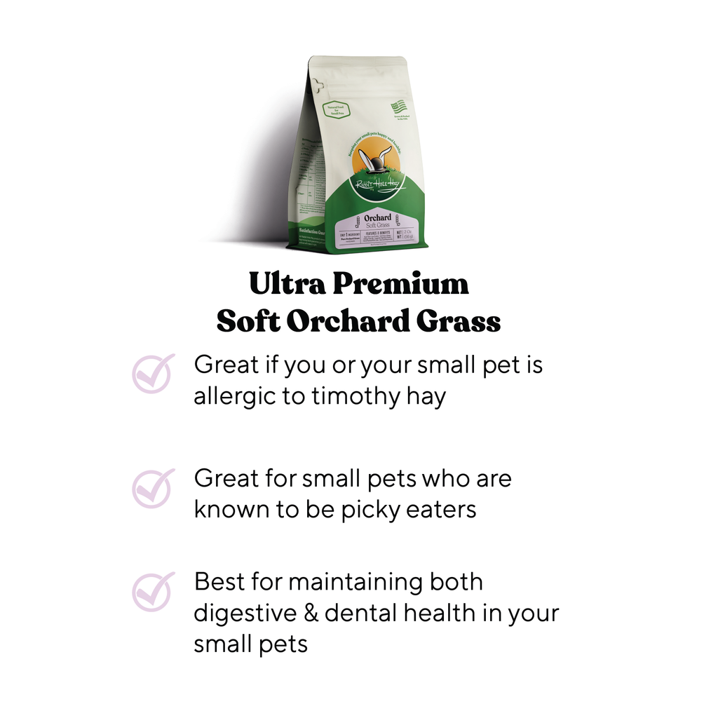 Soft Orchard Grass Hay product image 2