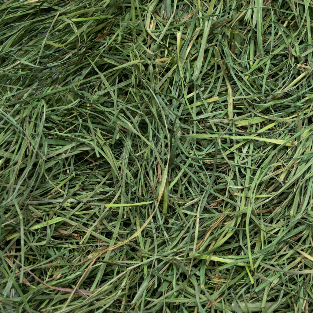 Soft Orchard Grass Hay product image 4