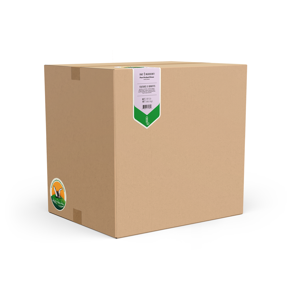 Soft Orchard Grass Hay product image 11