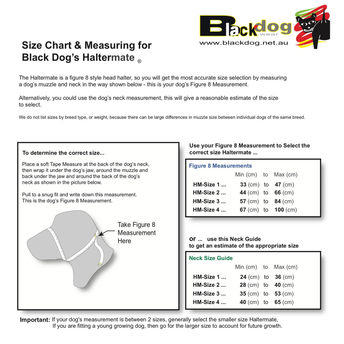 Dog Head Halter product image 3