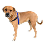 Dog Training Harness product image 1