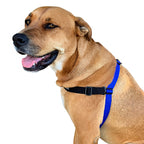 Dog Training Harness product image 2