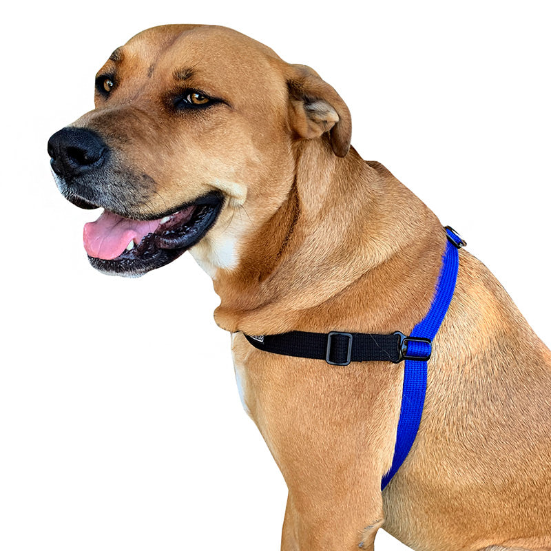 Dog Training Harness product image 2