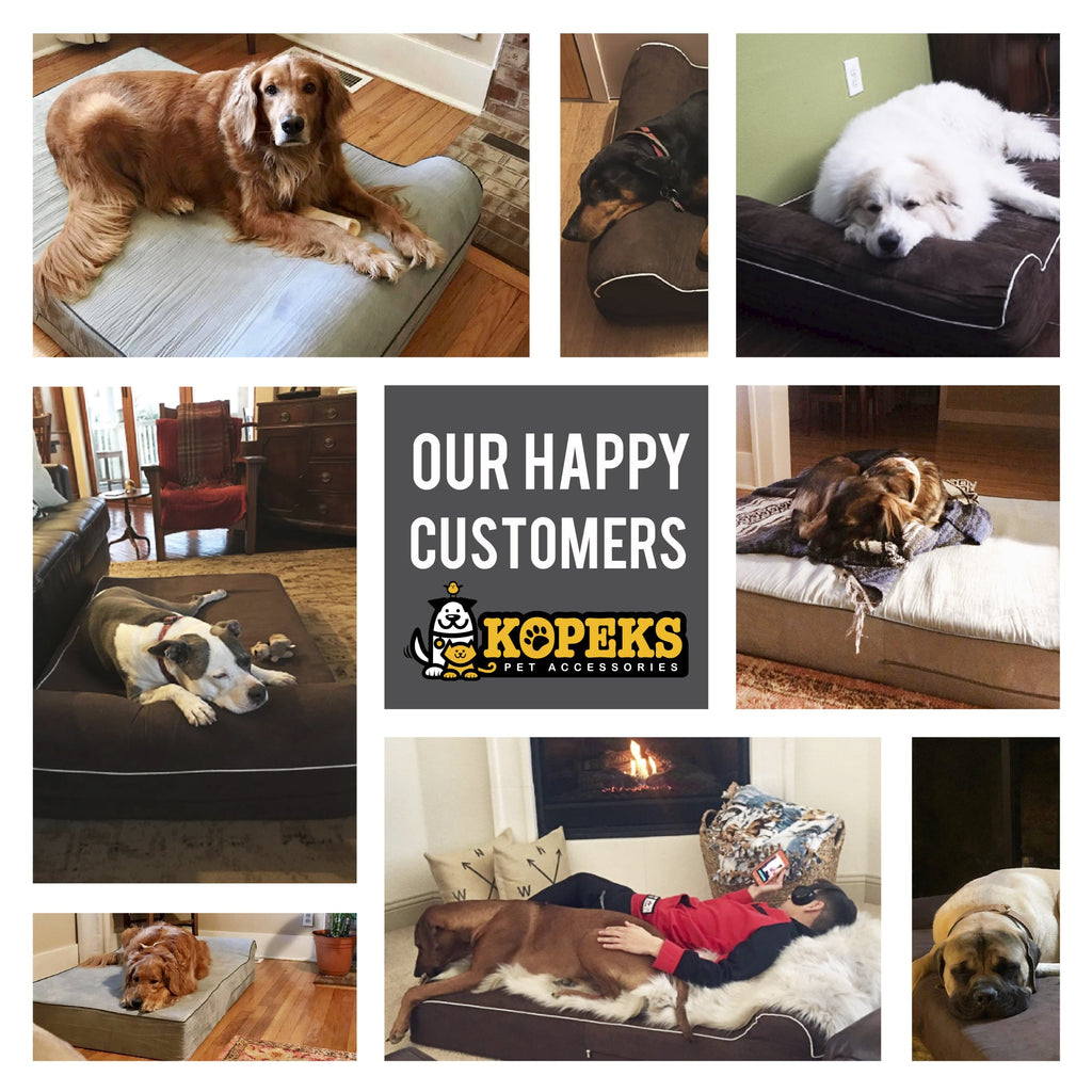Orthopedic Memory Foam Pet Bed product image 9