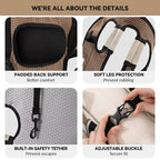 Dog Carrier Backpack for Cool, Comfortable Walks, Travel and Hiking with Four-Leg-Out Airflow