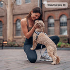 Adjustable Grab-Handle Dog Harness product image 59