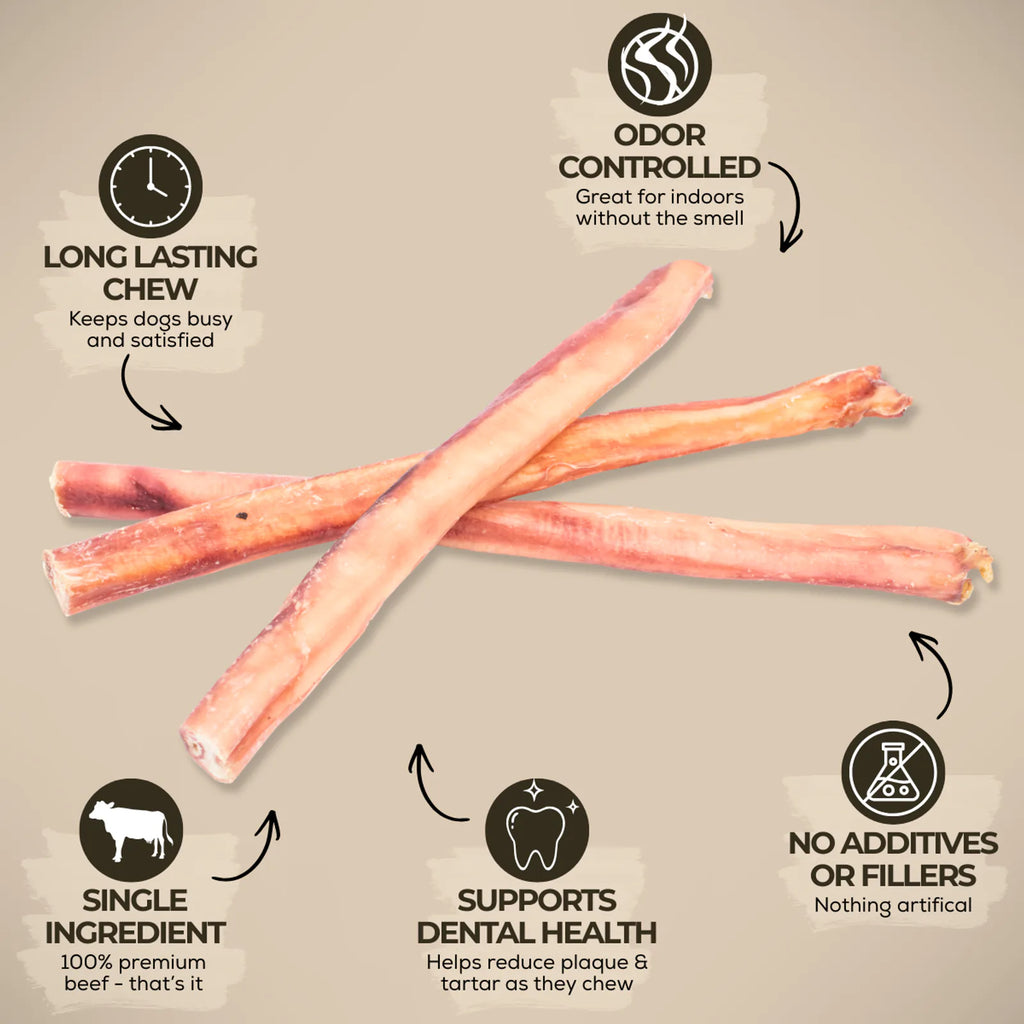 12 Inch Thick Bully Stick product image 3