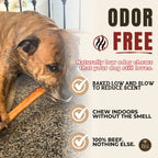 12 Inch Thick Bully Stick product image 4