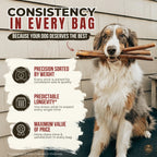12 Inch Thick Bully Stick product image 7