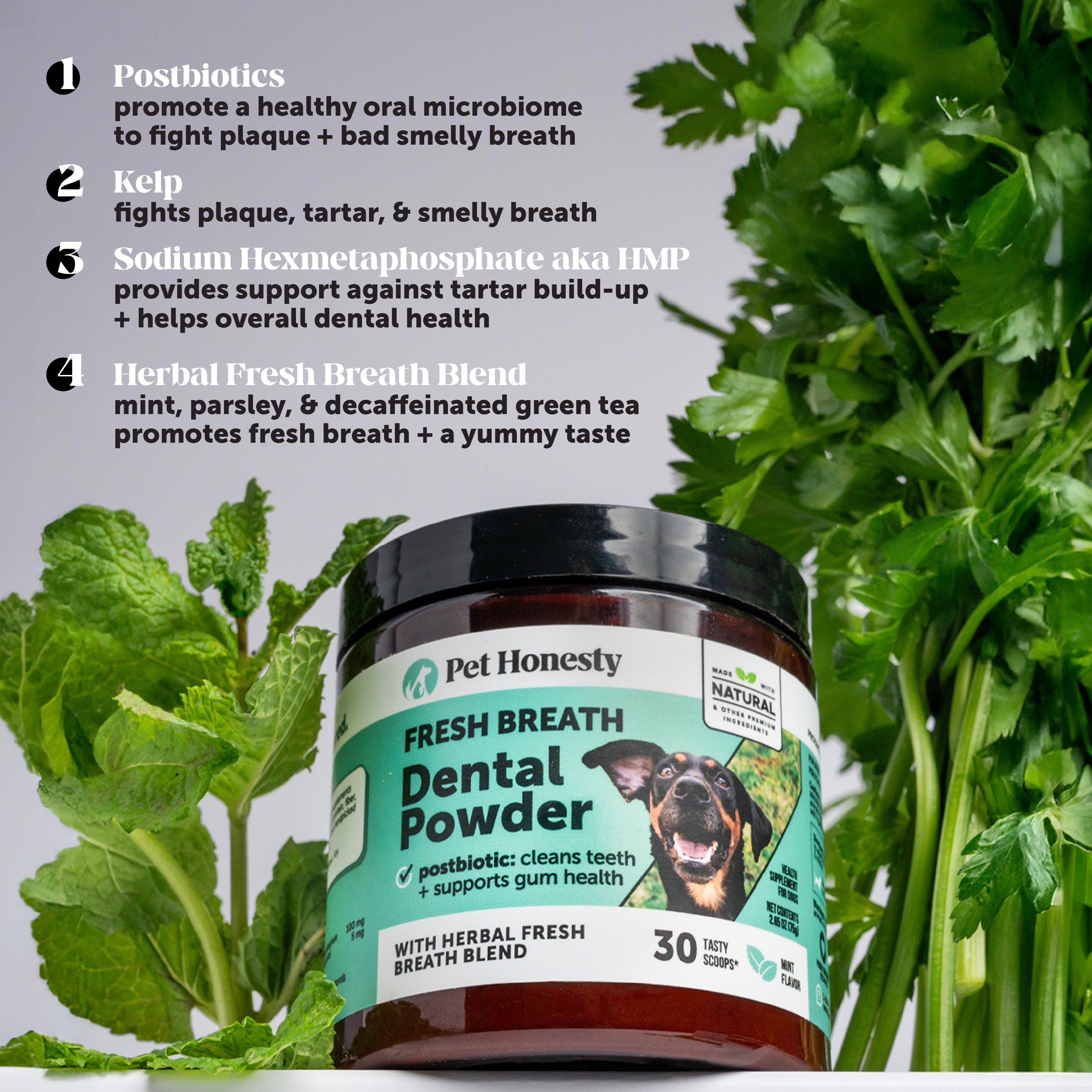 Dog Multivitamin and Dental Powder Bundle product image 4