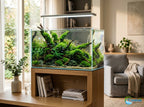Live Aquarium Moss product image 6