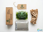 Live Aquarium Moss product image 8