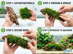 Live Aquarium Moss product image 12