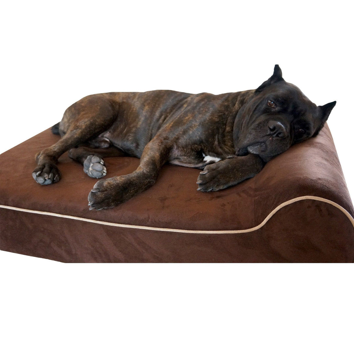 Bully Bed Orthopedic, Washable & Waterproof Big Dog Beds Bully Bed bullybeds.com Medium $109.99 - 34"x22"x4" Chocolate