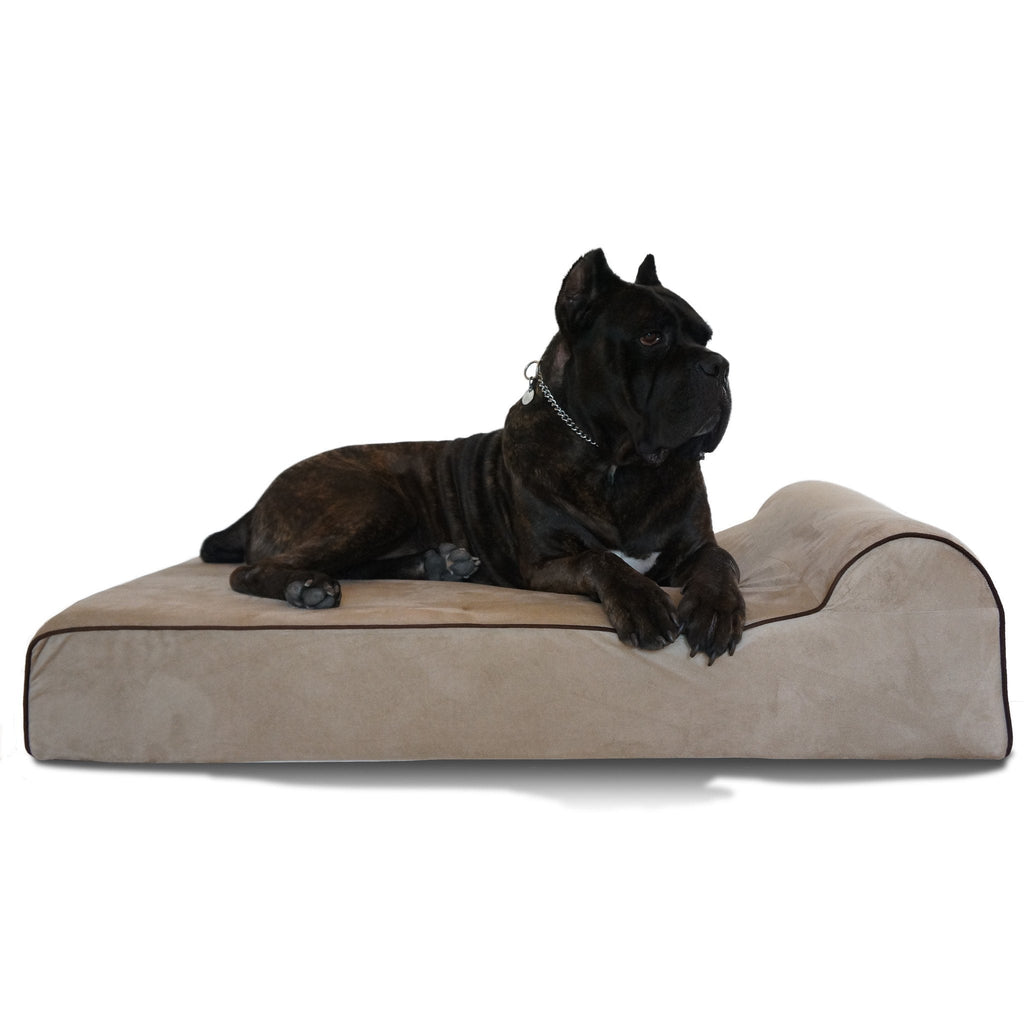 Large Orthopedic Memory Foam Dog Bed, Medium $159.99 -  34"x22"x4" / Tan