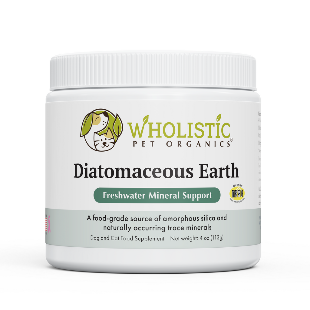 Diatomaceous Earth Supplement product image 2