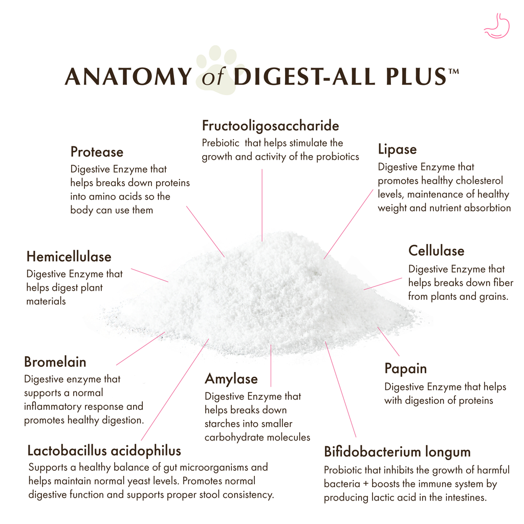 Digestive Enzyme Supplement product image 5