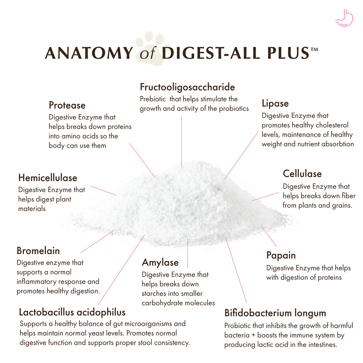 Digestive Enzyme Supplement product image 5
