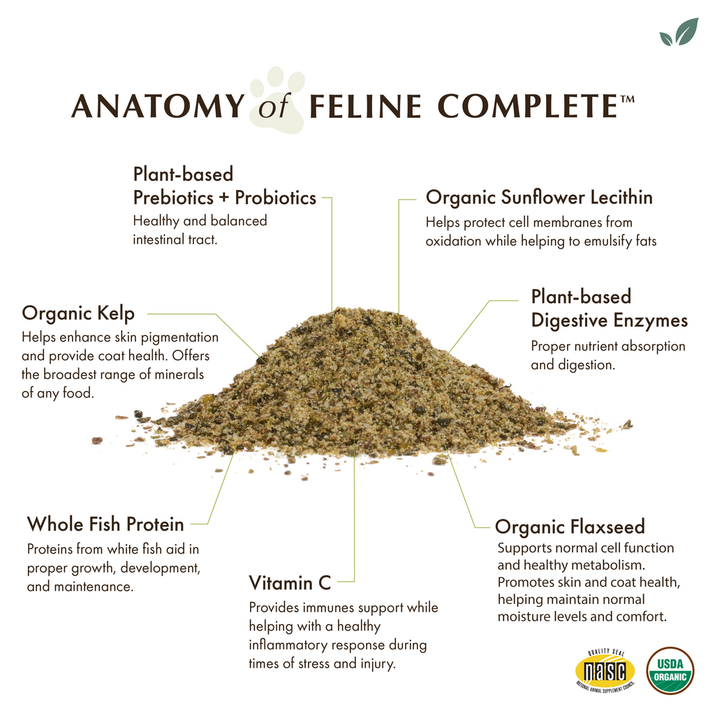 Cat Supplement product image 3