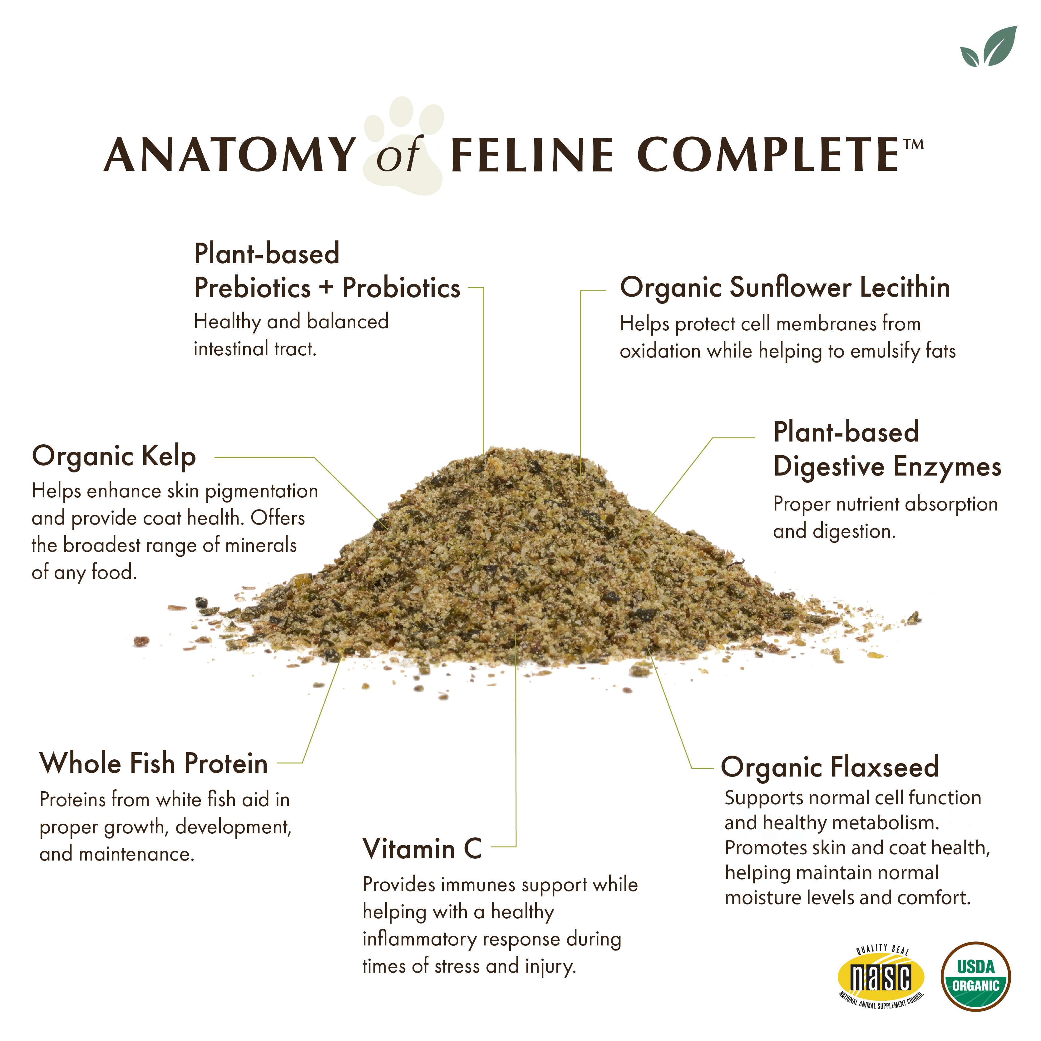 Cat Supplement product image 3