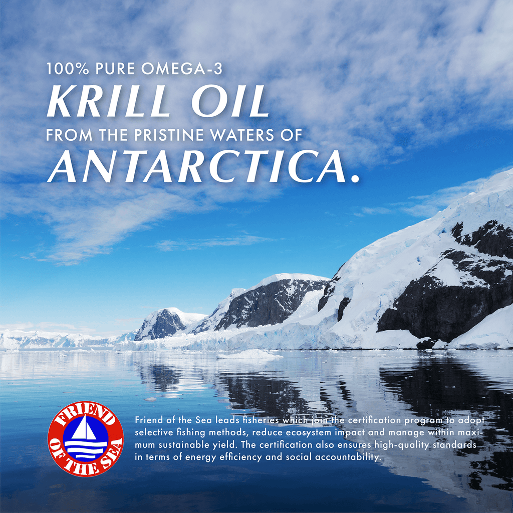 Krill Oil Soft Gels product image 5