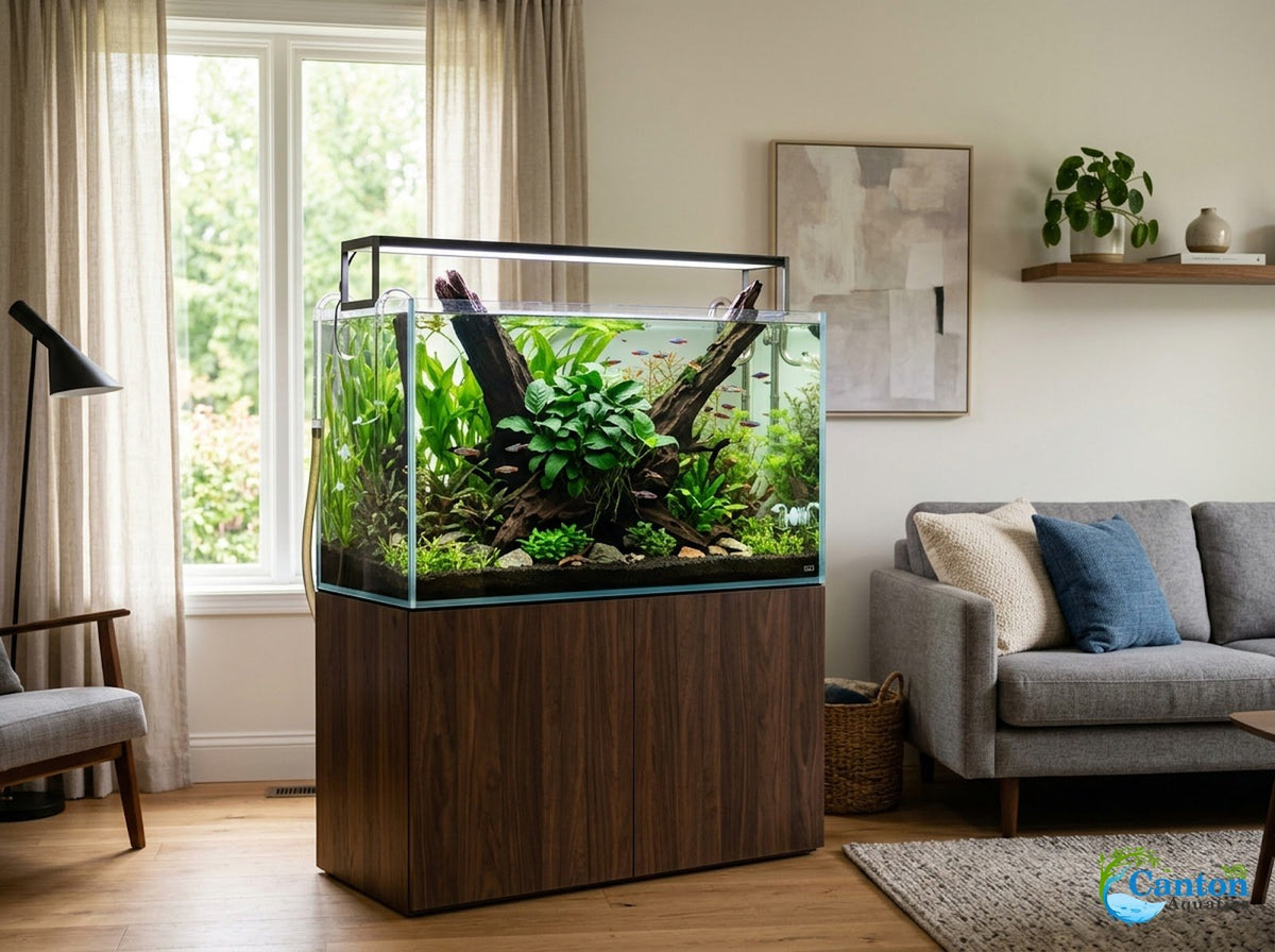 Live Aquarium Plant product image 9