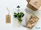 Live Aquarium Plant product image 15