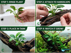 Live Aquarium Plant product image 21