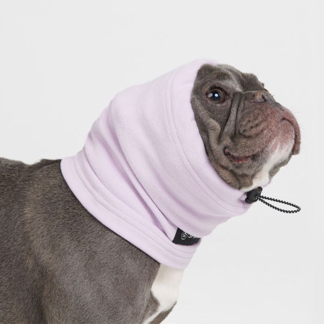 Adjustable Dog Ear Cover, Earmuff - Purple / S (10-15lbs/4.5-7kg)