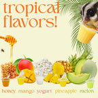 Fruit Jelly Nectar Pods for Exotic Pets product image 4