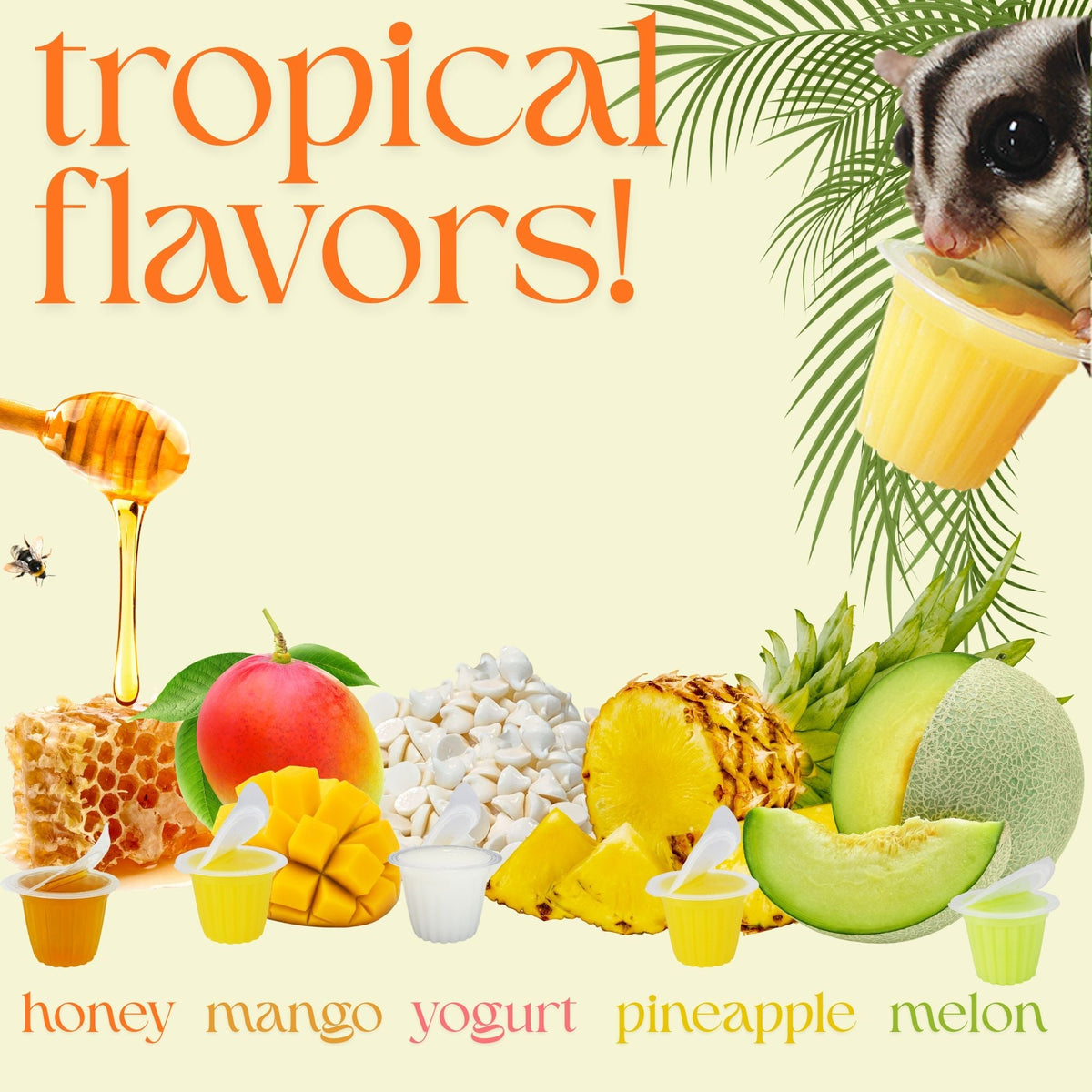 Fruit Jelly Nectar Pods for Exotic Pets product image 4