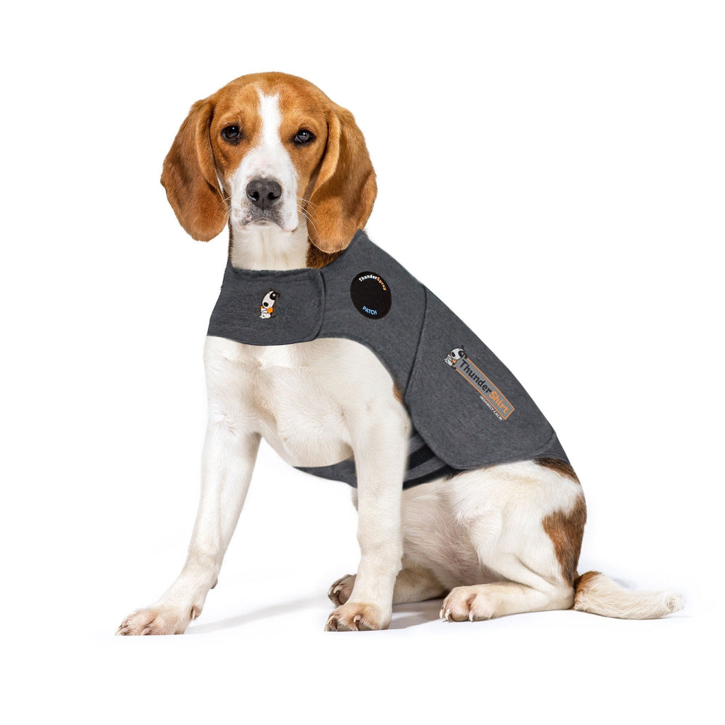 Dog Calming Vest product image 1