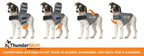 Dog Calming Vest product image 4