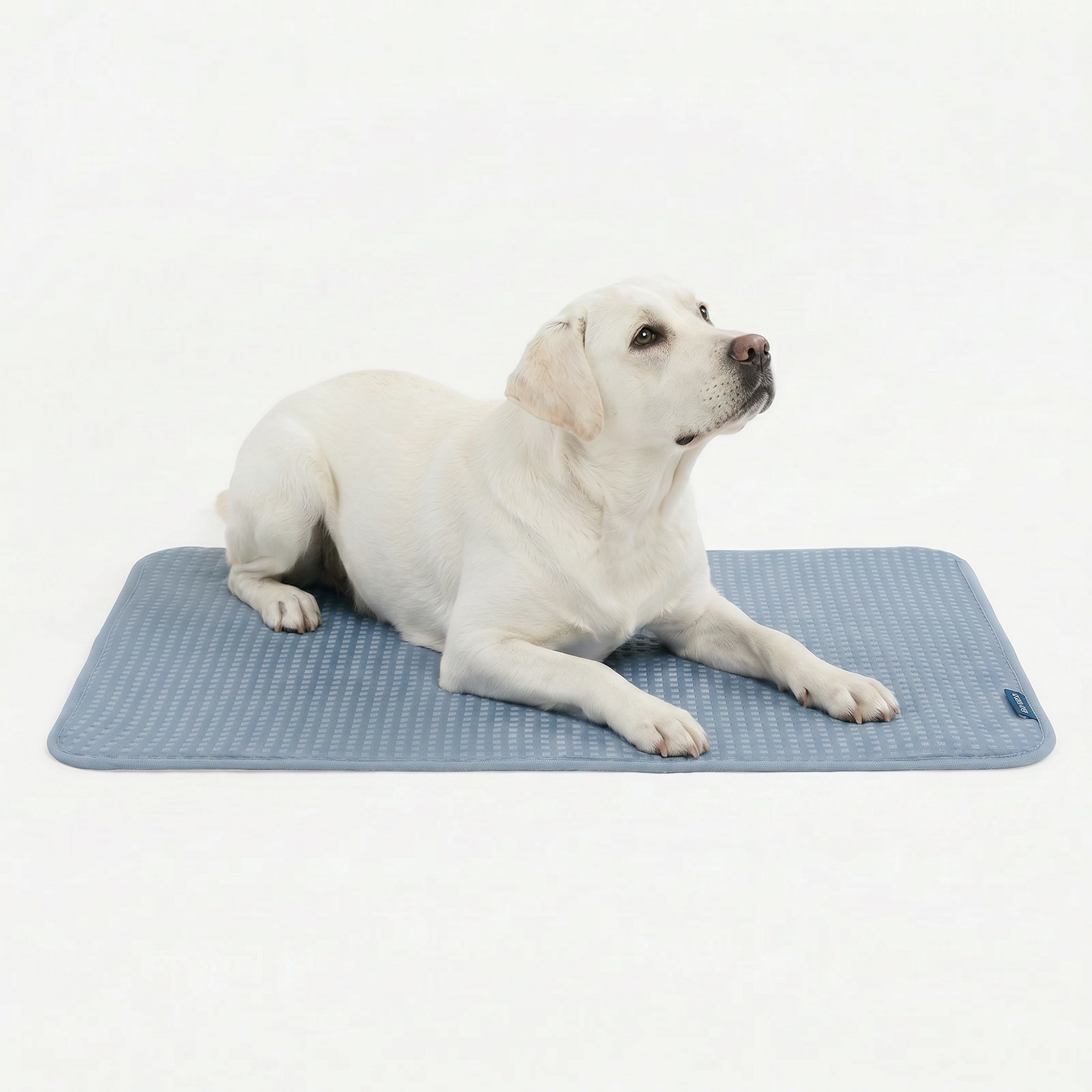 Breathable Cooling Dog Mat product image 85